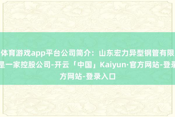 体育游戏app平台公司简介：山东宏力异型钢管有限公司是一家控股公司-开云「中国」Kaiyun·官方网站-登录入口