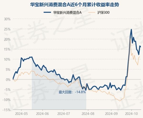 开云体育该基金钞票建设：股票占净值比89.5%-开云「中国」Kaiyun·官方网站-登录入口